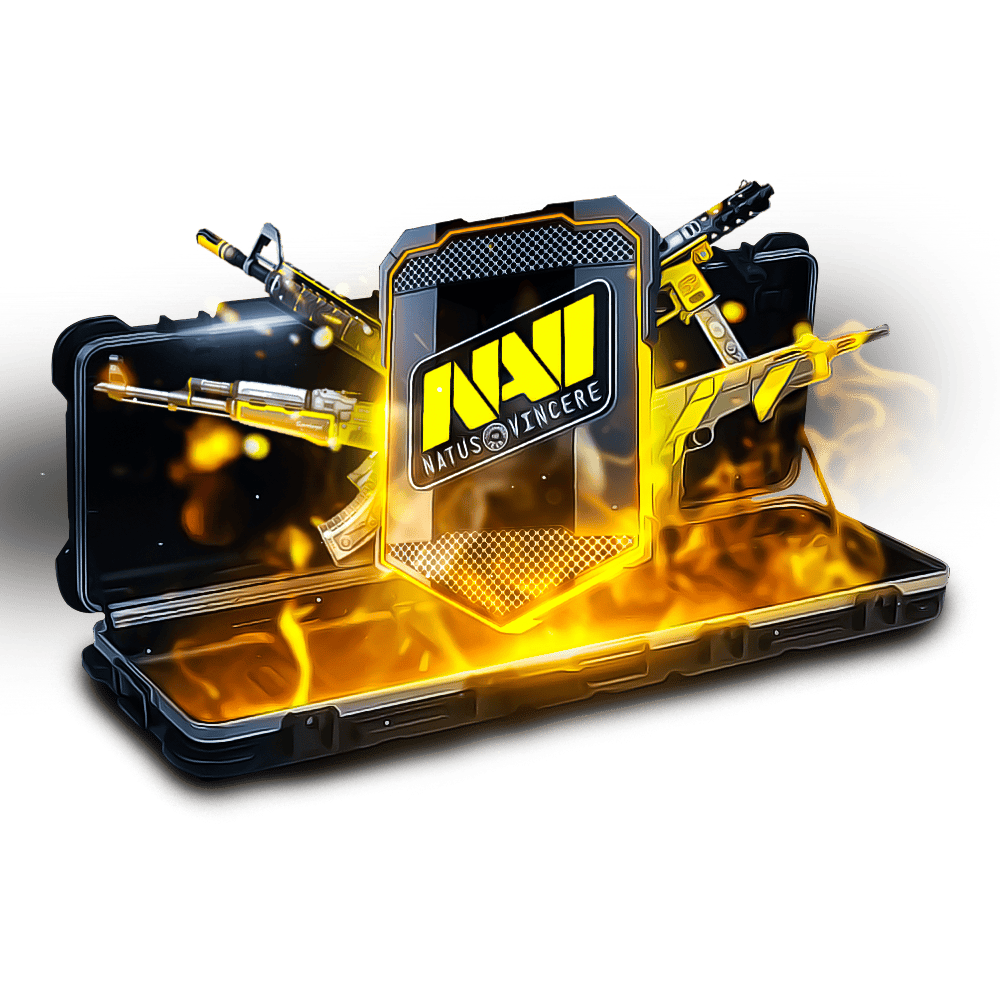 NaVi Case - CS2 | CS:GO Case Opening, Cool Skins | Skin.Club